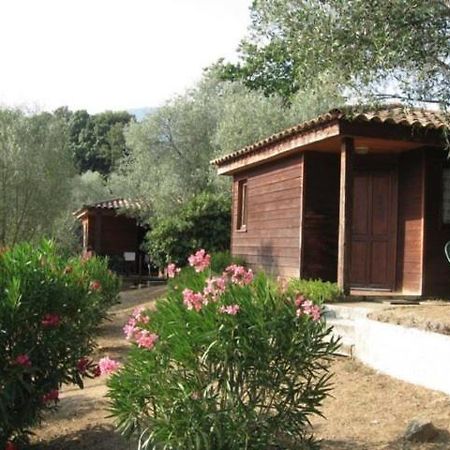 Gites Chalets De Grosseto-Prugna Exterior photo