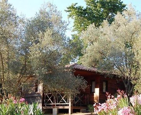 Gites Chalets De Grosseto-Prugna Exterior photo
