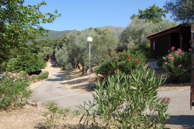 Gites Chalets De Grosseto-Prugna Exterior photo